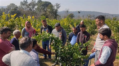 ADB, India sign $130 million loan to promote horticulture in Himachal ...