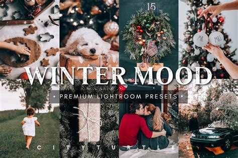 Cozy WINTER MOOD Holiday Lightroom Presets - FilterGrade
