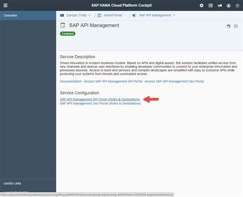 Image result for API Use in SAP