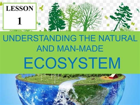 Free Science Lessons Ecosystem 的图像结果