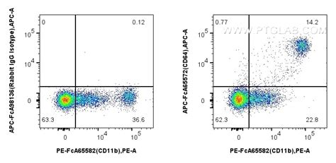 CD64 antibody (APC-FcA65572) | Proteintech