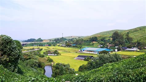 Seosan Travel Guide | Seosan Tourism - KAYAK