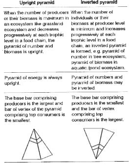Differentiate between Upright and Inverted pyramids