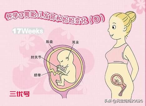 孕15周胎宝宝能够感觉外部光线了 - 育儿知识