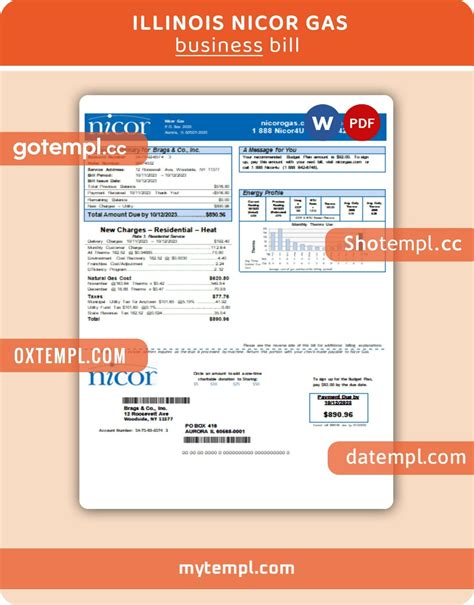 Illinois Nicor gas business utility bill, PDF and WORD template