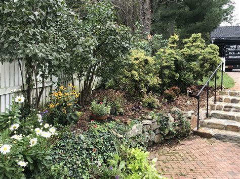 A Charming Classic Colonial Garden | Country Mile Gardens