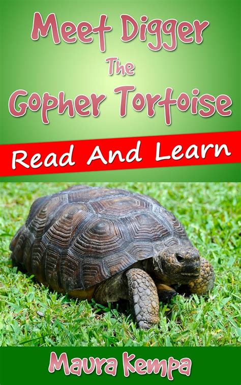 Meet Digger The Gopher Tortoise, Read And Learn! eBook : Kempa, Maura ...