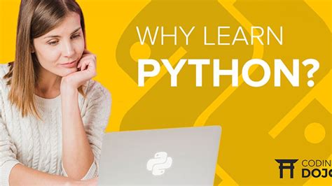 Why Learn Python 的图像结果