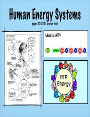 Human Energy System Chart 的图像结果