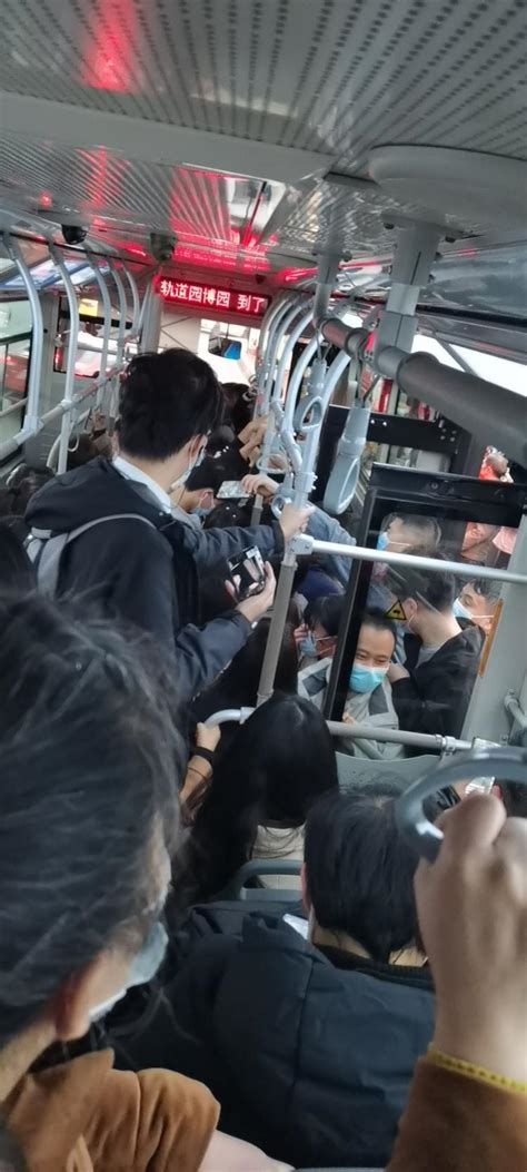 575公交太挤了-重庆网络问政平台