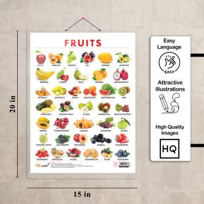 FRUITS CHART HARD LAMINATED, FLOWERS CHART HARD LAMINATED, FARM ANIMALS ...