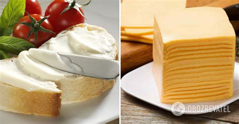 Image result for How to Make Processed Cheese