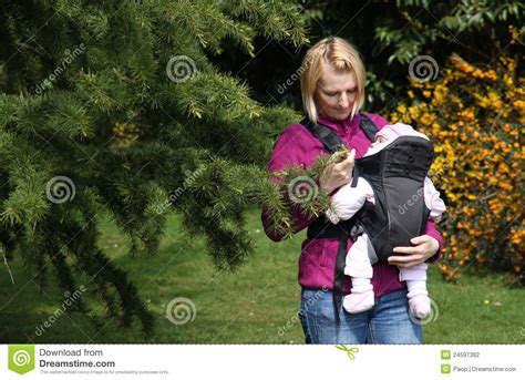 First Botany 的图像结果