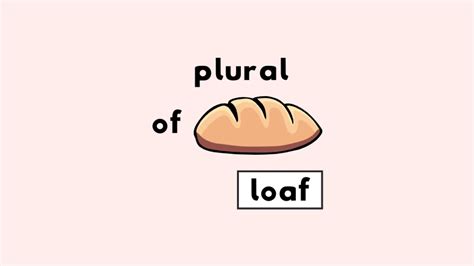 What’s the Plural of Loaf? (Loafs or Loaves?) - Phrase Forges