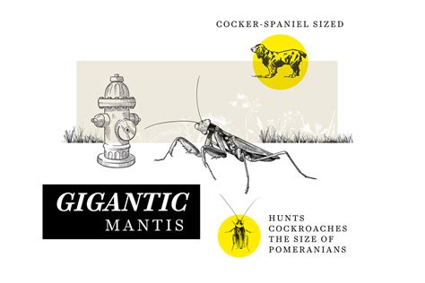 Future Animals Evolution 的图像结果