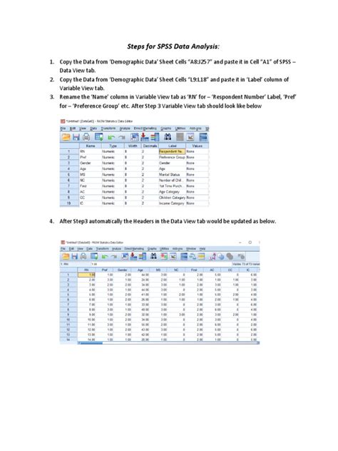 Image result for How to Analyse Data Using SPSS