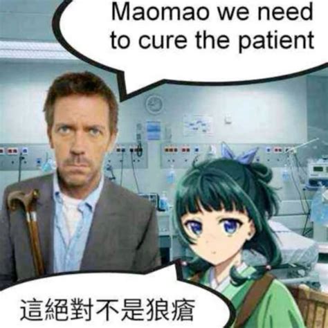 Dr House & Maomao 🫶🎀 | Character art, Dr house, Drawings