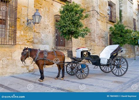 Traditional Horse and Cart stock image. Image of spanish - 7869403