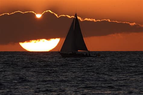 Sea Boat 的图像结果