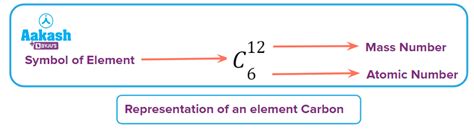 Atomic Number - Introduction, Examples, Practice Problems & FAQs in ...