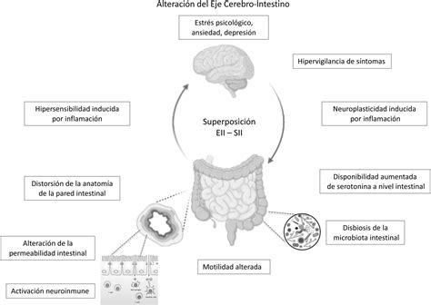 Síndrome de intestino irritable en la enfermedad inflamatoria intestinal. ¿Sinergia en las ...