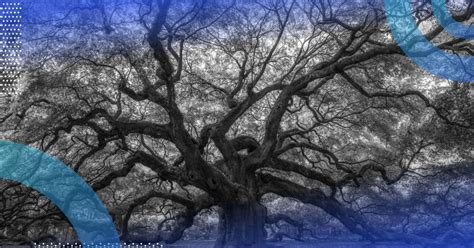 Index Page as B Tree Java Code 的图像结果