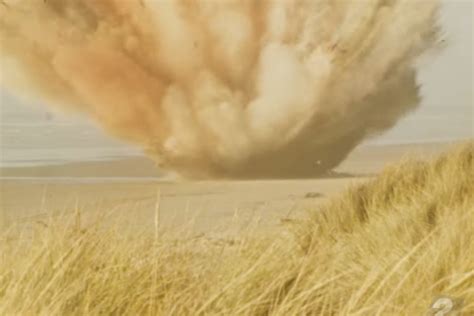 Image result for Exploding Whale KATU