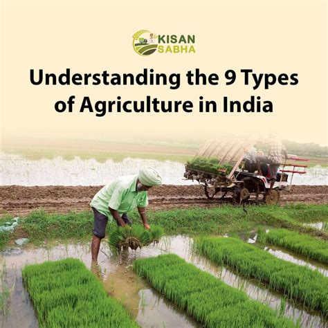 10 Types of Urban Agriculture in India – KisanSabha Blog
