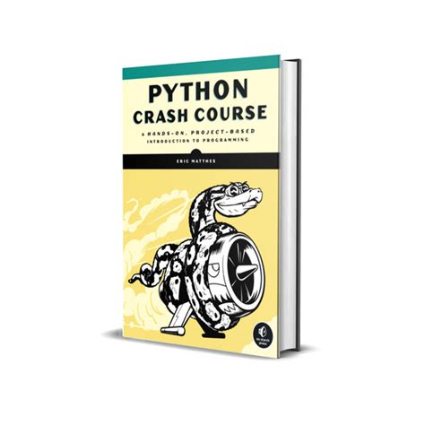 Python Crash Course Projects 的图像结果