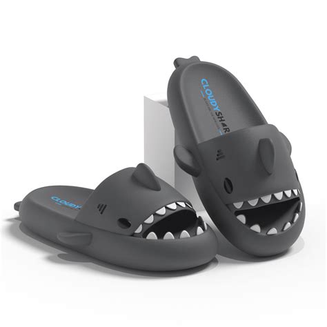 CloudySharks™ - India's First Shark Slides
