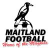 Maitland | Livescore.in