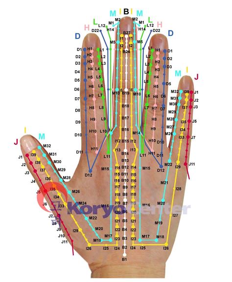 Hand Acupressure Chart | Acupressure Point Near Hand – WHKRQ