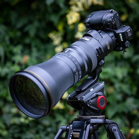 Nikon Z 600mm f4 TC VR S review | Cameralabs