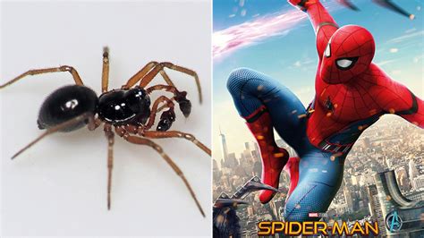 Was The Spider In Spider Man Real at Susan Wiley blog