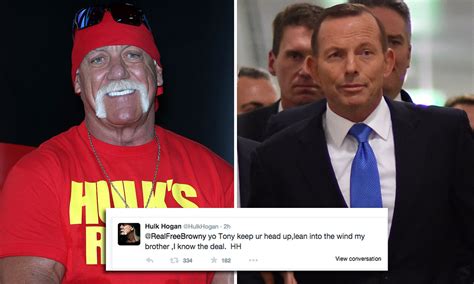 Hulk Hogan Chin Meme