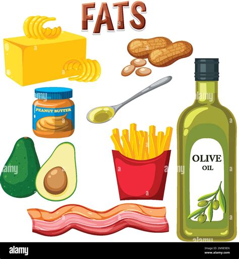 Variety of fat foods illustration Stock Vector Image & Art - Alamy