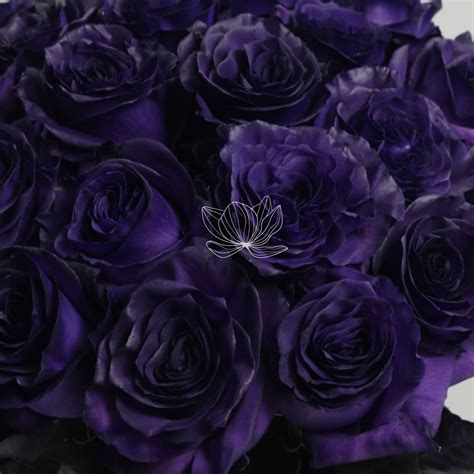 Dark Purple Roses Bouquet