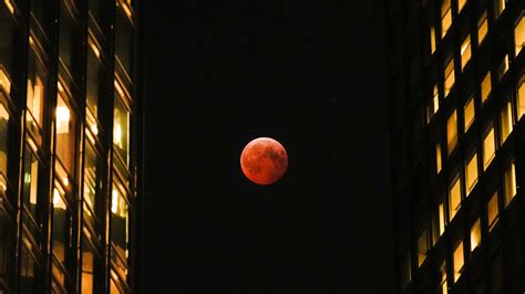 Blood Moon Wallpaper