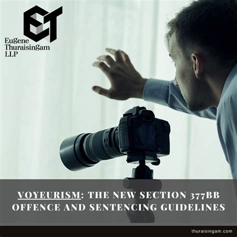 Voyeurism: The new Section 377BB Offence and Sentencing Guidelines ...