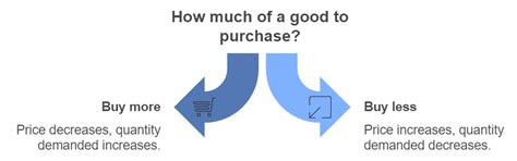 Consumer's Equilibrium and Demand (Theory of Consumer Behaviour) Class ...