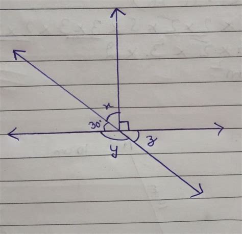 find the value of the angles x,y and z - Brainly.in