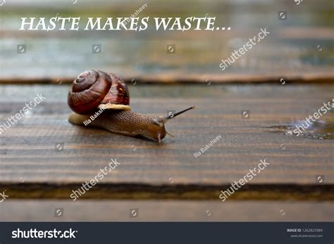 Wood haste: Mais de 723 fotos stock licenciáveis e livres de direitos ...