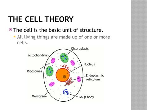 cell theory, scientists and cell structure | PPTX
