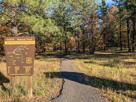 Hiking Bill Williams Mountain - SoCal Hiker