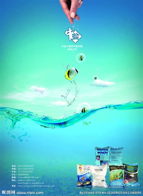 海盐设计图__海报设计_广告设计_设计图库_昵图网nipic.com