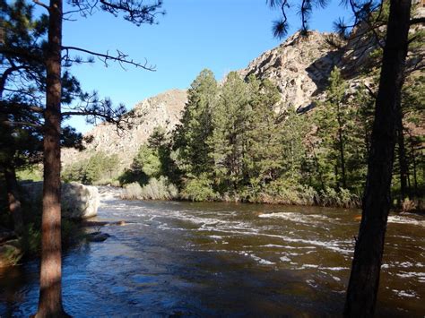 Camping near Red Feather Lakes and the Cache La Poudre River - Uncover ...