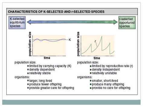 R AND K SELECTED SPECIES powerpoint presentation | PPTX