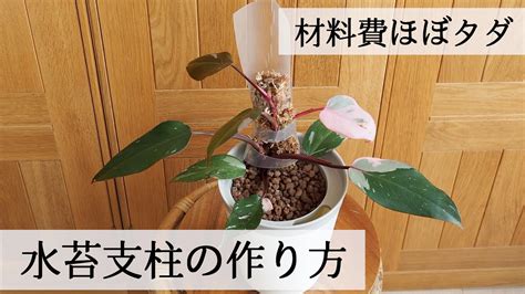 Image result for How to Code Earth Python
