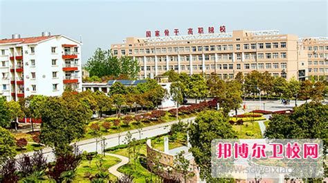 广东最好的二本民办大学分数线排名！广东民办本科有哪些学校？（2023参考）