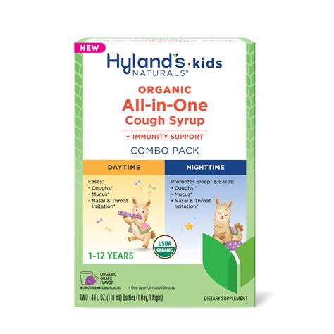 Buy Hyland'sKids All-in-One Grape Day & Night, Eases & Mucus Symptoms ...